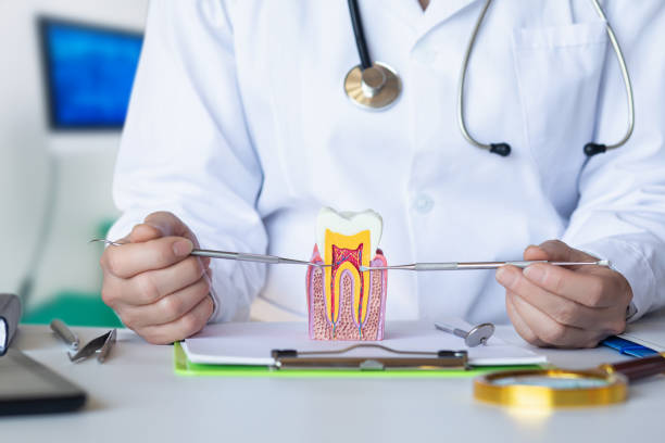 Best Emergency Dental Care for Abscessed Tooth in Mount Ivy, NY